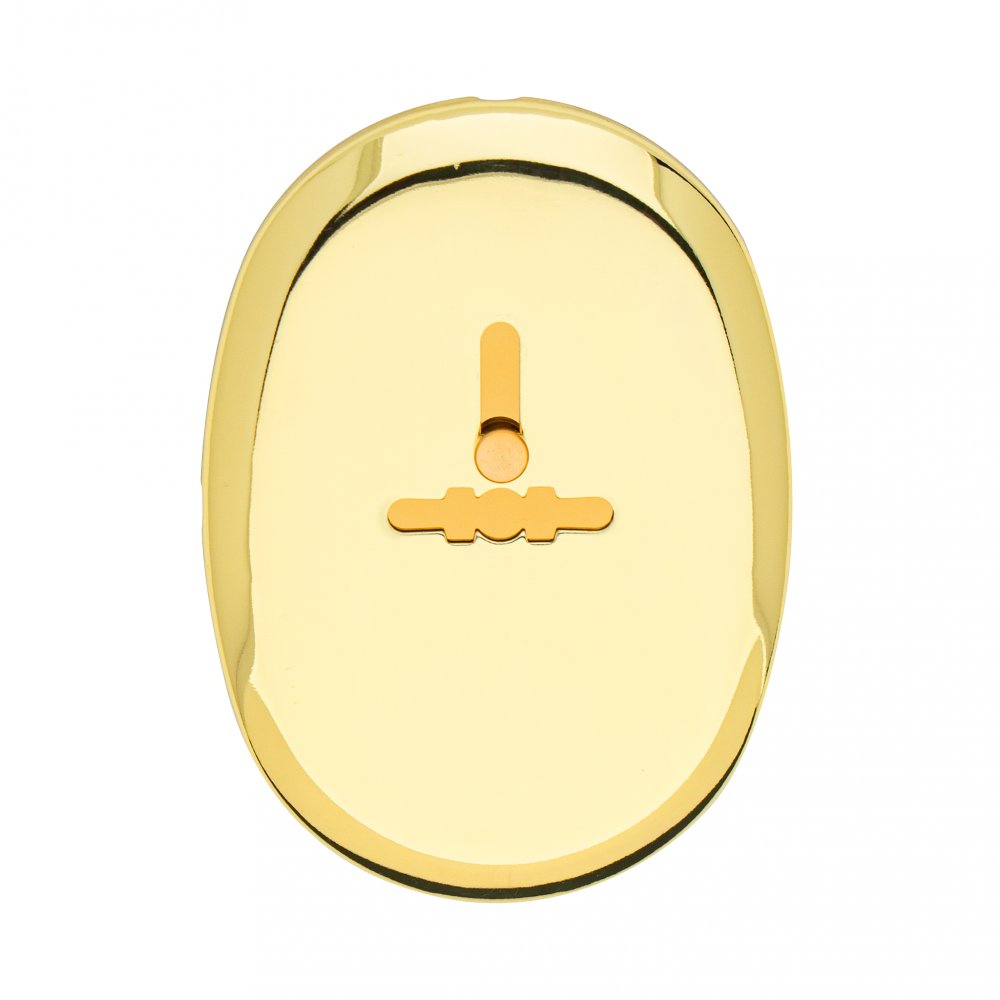 Накладка декоративная Apecs DP-11-S-G-shutter