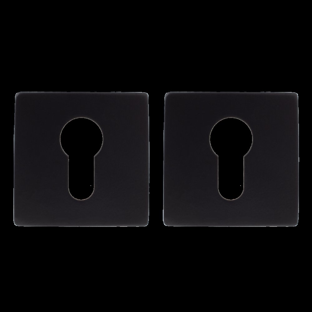 Накладки цилиндровые Apecs LOFT DP-C-77-INOX-BLM