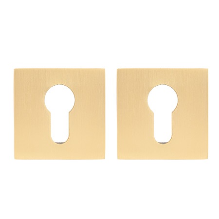 Накладка Alemar AET61 SATIN BRASS